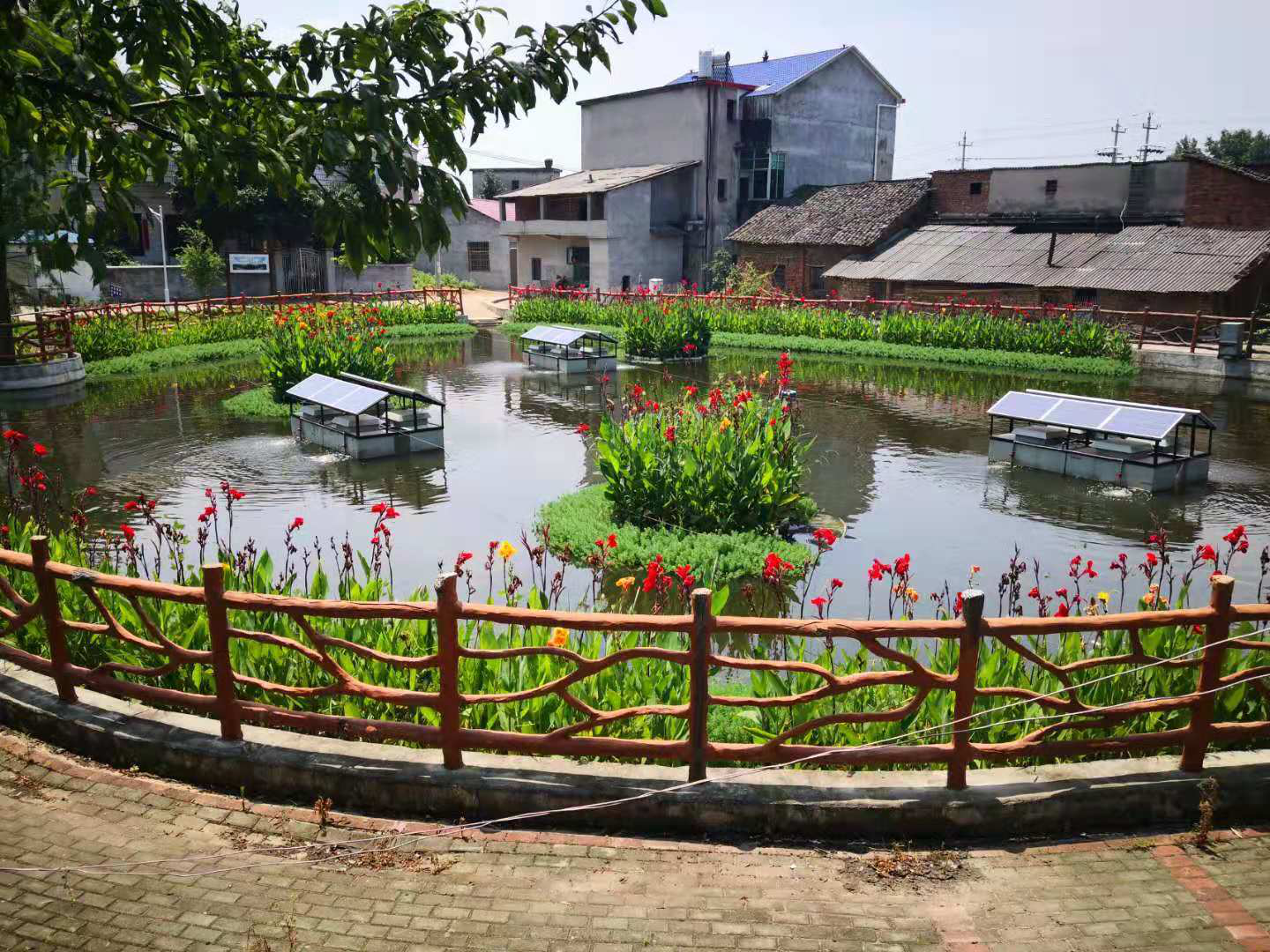 ��̬����